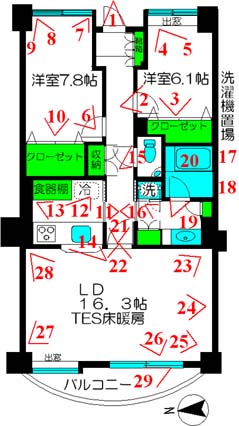 ILEX202���@�[�`�����Ԏ�}